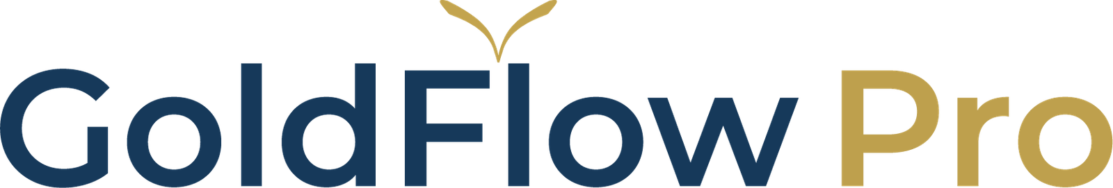 Conveyor Manufacture | GoldFlow Pro